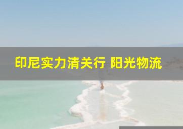 印尼实力清关行 阳光物流